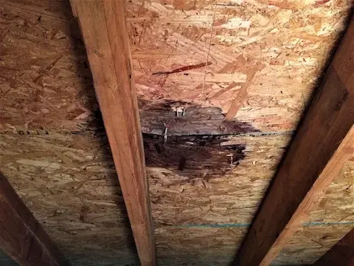 Water stain on attic roof decking between rafters from a roof leak